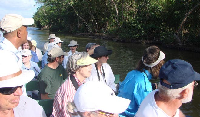 Exploring Carino Swamp in a tourist boat © BW Media